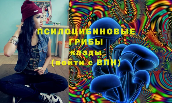 винт Белокуриха