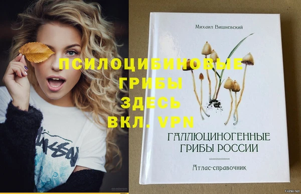 винт Белокуриха