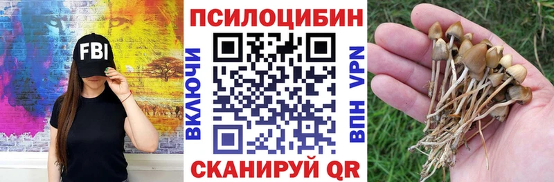 Псилоцибиновые грибы Magic Shrooms  Маркс 